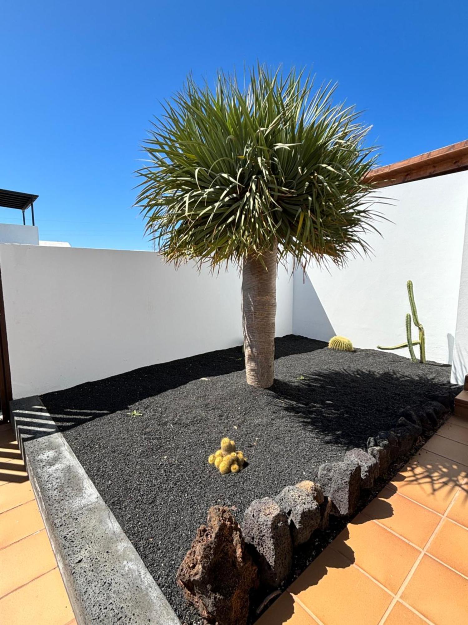 Rincon Oasis Nazaret Villa Exteriör bild