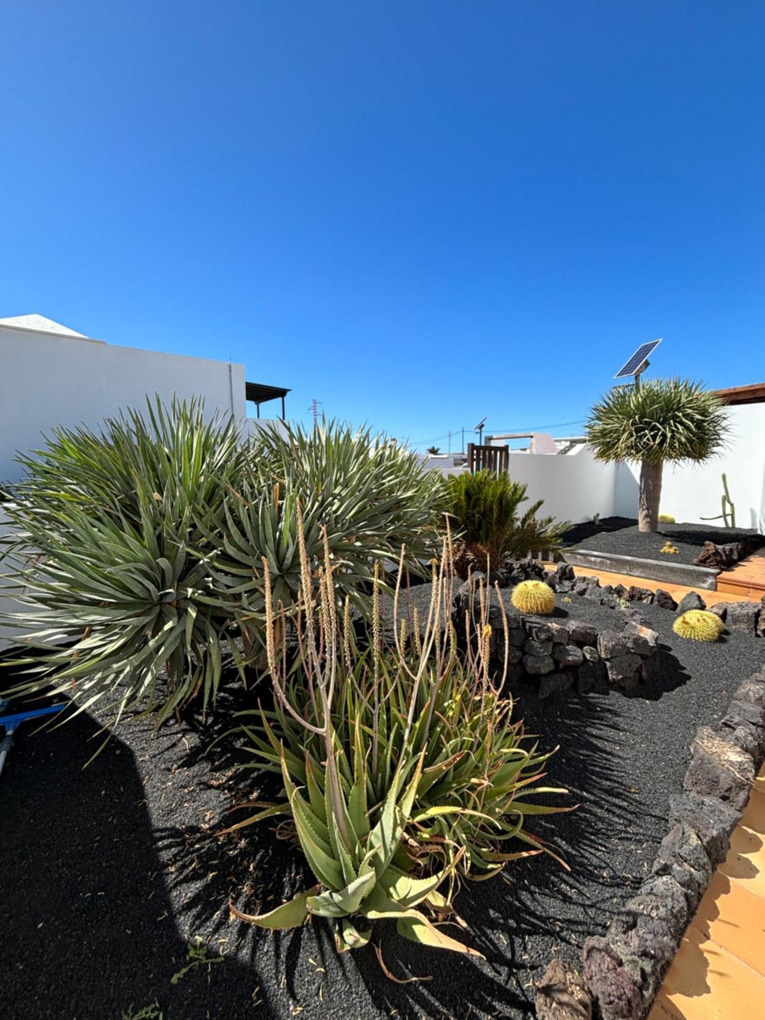 Rincon Oasis Nazaret Villa Exteriör bild